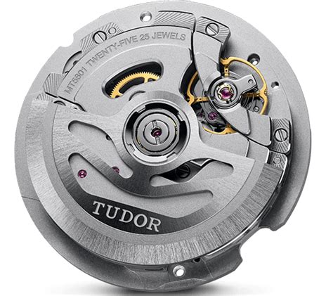 tudor manufactured calibre mt5602.